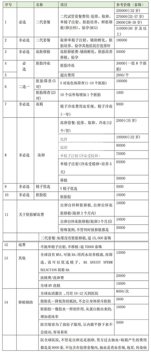 同性恋人海外代孕费用