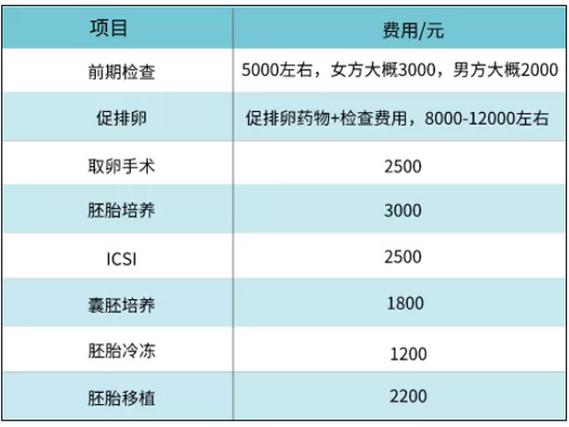 同性试管婴儿做一次多少钱