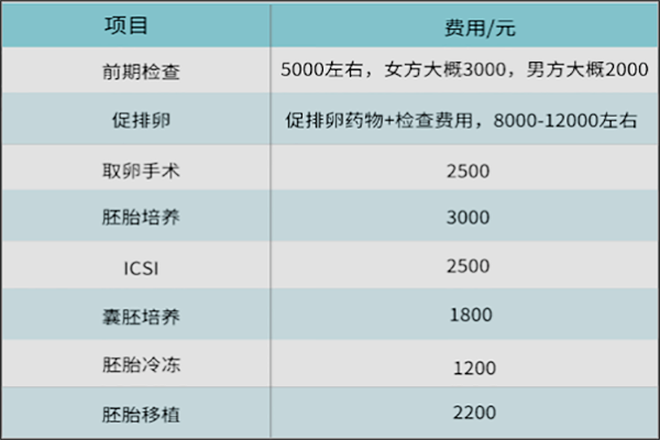 同性试管2代需要多少钱